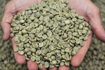 Zelená nepražená káva 250g